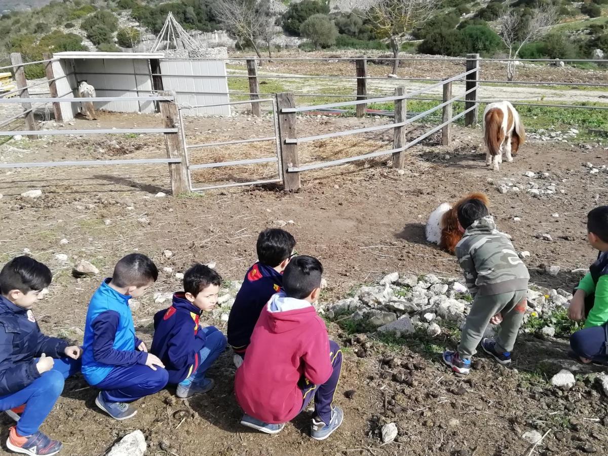 B&B Badde Cubas Usini Dış mekan fotoğraf